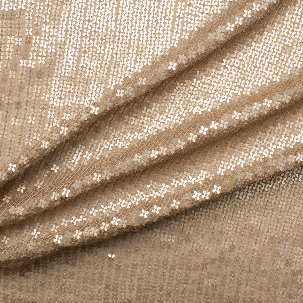 Beige Sequinned Silk Georgette