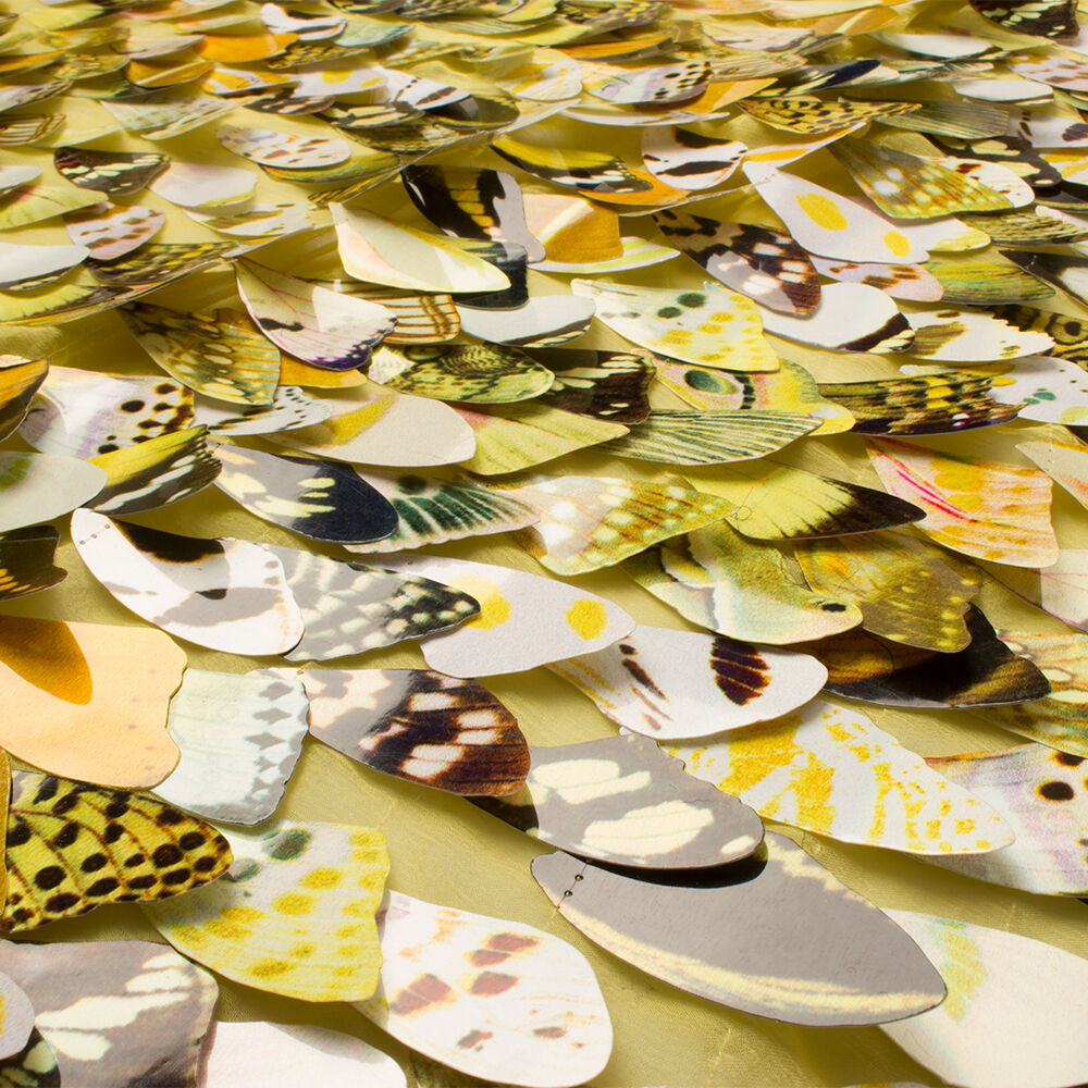 Yellow Embroidered Laser Cut Butterfly Wing Fabric