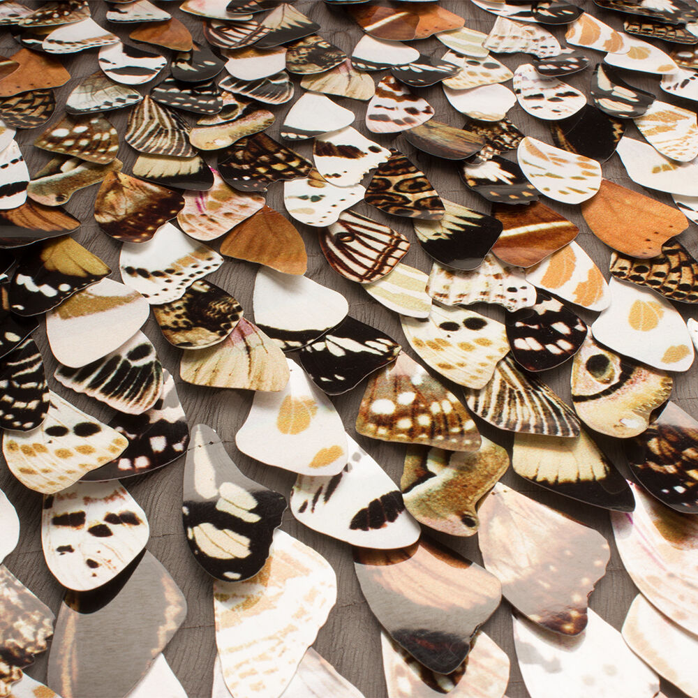 Brown Embroidered Laser Cut Butterfly Wing Fabric